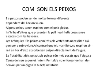 COM SON ELS PEIXOS
Els peixos poden ser de moltes formes diferents
dependent del lloc on viuen.
Alguns peixos tenen espines com el peix globus,
i n´hi ha d´altres que presenten la pell nua i llefis cosa,sense
escates,com les bavoses.
Les brànquies :Els peixos com tots els vertebrats necessiten oxi-
gen per a sobreviure.Al contrari que els mamífers,no respiren ai-
re i en lloc d´aixo absorbeixen oxigen directament de l´aigua.
La flotabilitat dels peixos:els peixos són més pesats que l´aigua a
Causa del seu esquelet intern.Per talde no enfonsar-se han de-
Senvolupat un òrgan la bufeta natatória.
 
