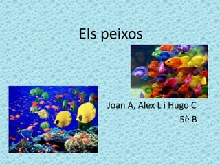 Els peixos
Joan A, Alex L i Hugo C
5è B
 