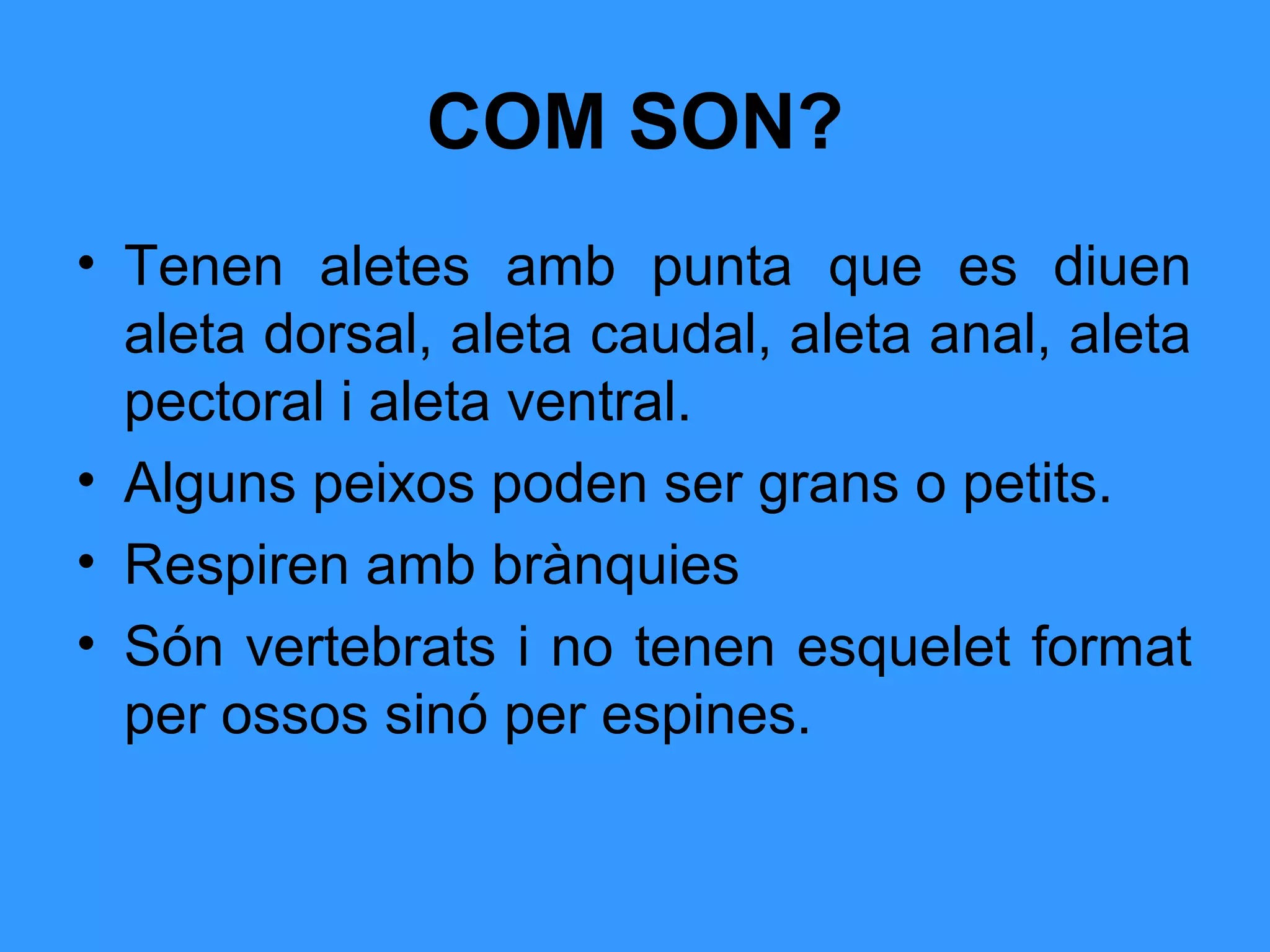 COM SON?
• Tenen aletes amb punta que es diuen
aleta dorsal, aleta caudal, aleta anal, aleta
pectoral i aleta ventral.
• Alguns peixos poden ser grans o petits.
• Respiren amb brànquies
• Són vertebrats i no tenen esquelet format
per ossos sinó per espines.
 