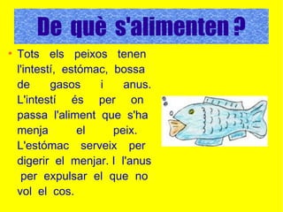 De què s'alimenten ?
●
Tots els peixos tenen
l'intestí, estómac, bossa
de gasos i anus.
L'intestí és per on
passa l'aliment que s'ha
menja el peix.
L'estómac serveix per
digerir el menjar. I l'anus
per expulsar el que no
vol el cos.
 