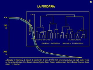 0 m
200
m
3000
m
 O O O O O O O O     
0.00
1.00
1
2
3
4
÷%Similaritat100
 200-400 m O 400-800 m 800-1400 m  1400-1800 m
LA FONDÀRIALA FONDÀRIA
J. Moranta, C. Stefanescu, E. Massutí, B. Morales-Nin, D. Lloris, TITULO: Fish community structure and depth related trends
on the continental slope of the Balearic Islands (Algerian Basin, Western Mediterranean). Marine Ecology Progress Series
(1998), 171: 233-246.
17
 