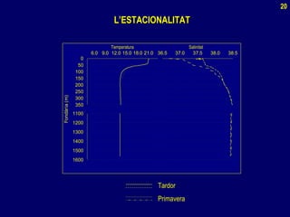 L’ESTACIONALITATL’ESTACIONALITAT
Tardor
Primavera
6.0 9.0 12.0 15.0 18.0 21.0 36.5 37.0 37.5 38.0 38.5
Fondària(m)
0
50
100
150
200
250
300
350
1100
1200
1300
1400
1500
1600
Temperatura Salinitat
20
 