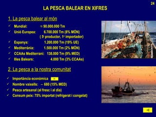  Mundial:Mundial: ≈≈ 90.000.000 Tm90.000.000 Tm
 Unió Europea: 6.700.000 Tm (8% MÓN)Unió Europea: 6.700.000 Tm (8% MÓN)
( 5( 5èè
productor, 1productor, 1erer
importador)importador)
 Espanya: 1.200.000 Tm (19% UE)Espanya: 1.200.000 Tm (19% UE)
 Mediterrània: 1.500.000 Tm (2% MÓN)Mediterrània: 1.500.000 Tm (2% MÓN)
 CCAAs Mediterrani: 138.000 Tm (9% MED)CCAAs Mediterrani: 138.000 Tm (9% MED)
 Illes Balears: 4.000 Tm (3% CCAAs)Illes Balears: 4.000 Tm (3% CCAAs)
 Importància econòmicaImportància econòmica
 Nombre vaixells:Nombre vaixells: ∼∼ 680 (15% MED)680 (15% MED)
 Pesca artesanal (al fresc i al dia)Pesca artesanal (al fresc i al dia)
 Consum peix: 75% importat (refrigerat i congelat)Consum peix: 75% importat (refrigerat i congelat)
LA PESCA BALEAR EN XIFRESLA PESCA BALEAR EN XIFRES
1. La pesca balear al món1. La pesca balear al món
2. La pesca a la nostra comunitat2. La pesca a la nostra comunitat
24
 