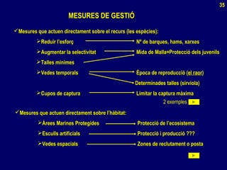 MESURES DE GESTIÓMESURES DE GESTIÓ
Mesures que actuen directament sobre el recurs (les espècies):Mesures que actuen directament sobre el recurs (les espècies):
Reduir l’esforçReduir l’esforç Nº de barques, hams, xarxesNº de barques, hams, xarxes
Augmentar la selectivitatAugmentar la selectivitat Mida de Malla=Protecció dels juvenilsMida de Malla=Protecció dels juvenils
Talles mínimesTalles mínimes
Vedes temporalsVedes temporals Època de reproducció (Època de reproducció (el raorel raor))
Determinades talles (sirviola)Determinades talles (sirviola)
Cupos de capturaCupos de captura Limitar la captura màximaLimitar la captura màxima
35
2 exemples
Mesures que actuen directament sobre l’hàbitat:Mesures que actuen directament sobre l’hàbitat:
Àrees Marines ProtegidesÀrees Marines Protegides Protecció de l’ecosistemaProtecció de l’ecosistema
Esculls artificialsEsculls artificials Protecció i producció ???Protecció i producció ???
Vedes espacialsVedes espacials Zones de reclutament o postaZones de reclutament o posta
 