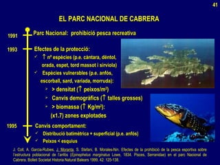 EL PARC NACIONAL DE CABRERAEL PARC NACIONAL DE CABRERA
1991 Parc Nacional: prohibició pesca recreativaParc Nacional: prohibició pesca recreativa
1993 Efectes de la protecció:Efectes de la protecció:
 ↑↑ nº espècies (p.e. càntara, déntol,nº espècies (p.e. càntara, déntol,
orada, espet, tord massot i sirviola)orada, espet, tord massot i sirviola)
 Espècies vulnerables (p.e. anfós,Espècies vulnerables (p.e. anfós,
escorball, sard, variada, morruda):escorball, sard, variada, morruda):
 > densitat (> densitat (↑↑ peixos/mpeixos/m22
))
 Canvis demogràfics (Canvis demogràfics (↑↑ talles grosses)talles grosses)
 > biomassa (> biomassa (↑↑ Kg/mKg/m22
):):
(x1.7) zones explotades(x1.7) zones explotades
1995 Canvis comportament:Canvis comportament:
 Distribució batimètrica + superficial (p.e. anfós)Distribució batimètrica + superficial (p.e. anfós)
 Peixos < esquiusPeixos < esquius
J. Coll, A. Garcia-Rubies, J. Moranta, S. Stefani, B. Morales-Nin. Efectes de la prohibició de la pesca esportiva sobre
l’estructura poblacional de l’anfós (Epinephelus marginatus Lowe, 1834. Pisces, Serranidae) en el parc Nacional de
Cabrera. Bolleti Societat Historia Natural Balears 1999, 42: 125-138.
41
 