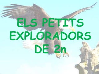 ELS PETITS
EXPLORADORS
DE 2n
 