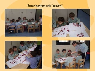 Experimentam amb “popurrí” 