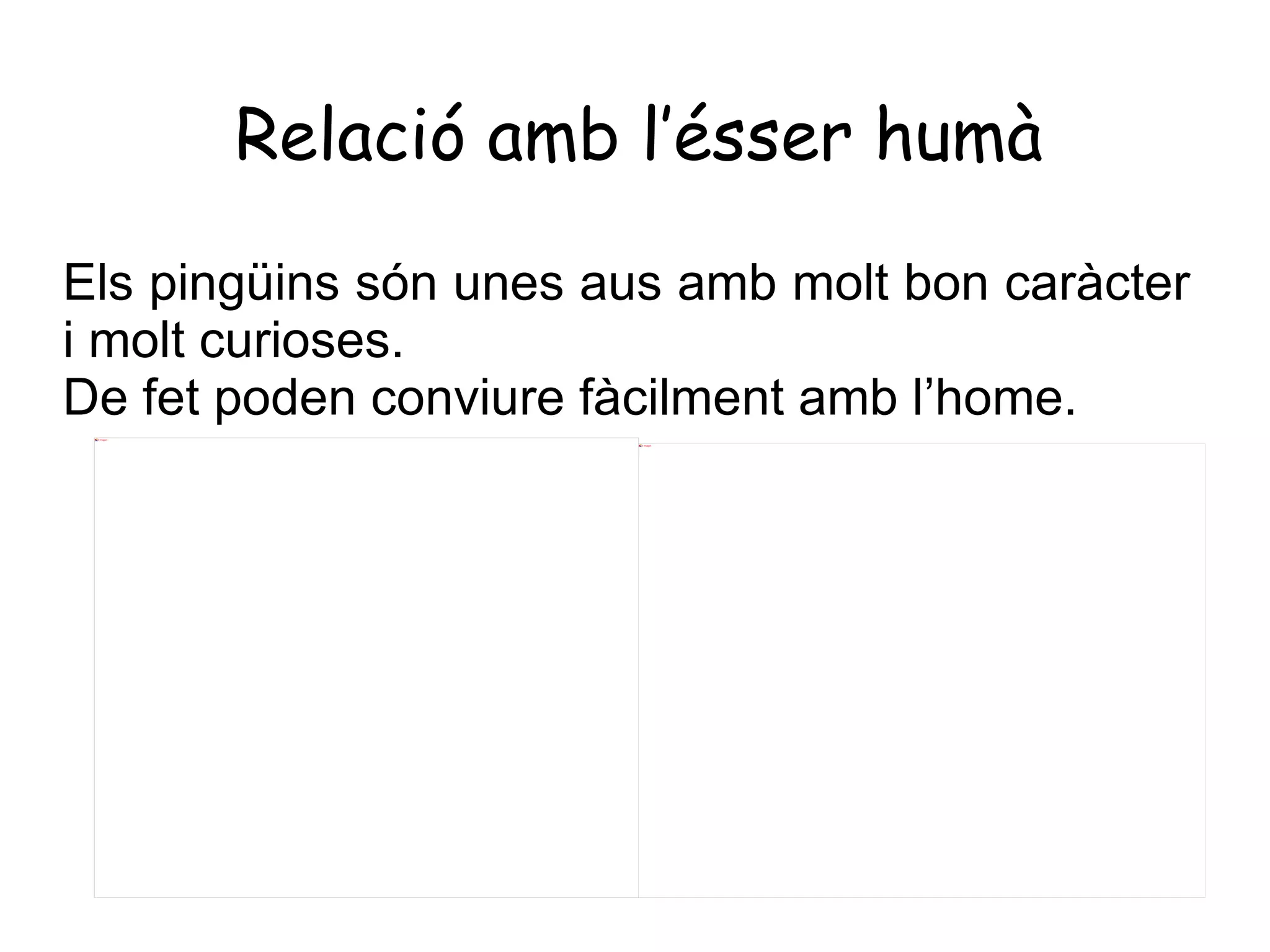 De la família de les gavines Les foques lleopards Les orques mascles De la mateixa família dels coloms De la família de les gavines 