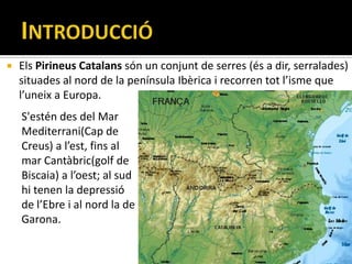    Els Pirineus Catalans són un conjunt de serres (és a dir, serralades)
    situades al nord de la península Ibèrica i recorren tot l’isme que
    l’uneix a Europa.
    S'estén des del Mar
    Mediterrani(Cap de
    Creus) a l’est, fins al
    mar Cantàbric(golf de
    Biscaia) a l’oest; al sud
    hi tenen la depressió
    de l’Ebre i al nord la de
    Garona.
 