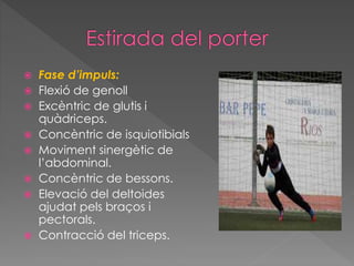  Fase d’impuls:
 Flexió de genoll
 Excèntric de glutis i
quàdriceps.
 Concèntric de isquiotibials
 Moviment sinergètic de
l’abdominal.
 Concèntric de bessons.
 Elevació del deltoides
ajudat pels braços i
pectorals.
 Contracció del triceps.
 