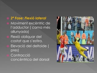  2ª Fase: Flexió lateral
 Moviment excèntric de
l’adductor ( cama més
allunyada)
 Flexió obliquar del
costat que s’estira.
 Elevació del deltoide (
pres)
 Contracció
concèntrica del dorsal
 