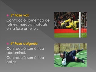 3ª Fase vol:
Contracció isomètrica de
tots els músculs implicats
en la fase anterior.
 4ª Fase caiguda:
Contracció isomètrica
abdominal.
Contracció isomètrica
oblics
 