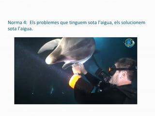 Norma 4: Els problemes que tinguem sota l’aigua, els solucionem
sota l’aigua.
 