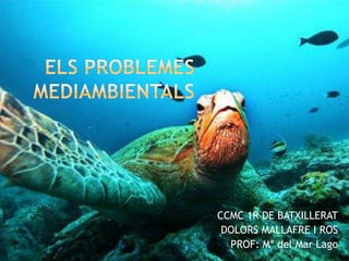 ELS PROBLEMES MEDIAMBIENTALS CCMC 1R DE BATXILLERAT DOLORS MALLAFRE I ROS PROF: Mª del Mar Lago 