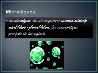 • Les microalgues són microorganismes eucaiotes autòtrofs
  unicel·lulars i pluricel·lulars. Les caracérístiques
  principals són les següents:
 