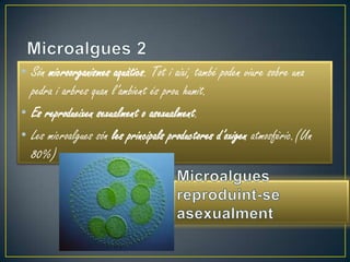 • Són microorganismes aquàtics. Tot i així, també poden viure sobre una
  pedra i arbres quan l’ambient és prou humit.
• Es reprodueixen sexualment o asexualment.
• Les microalgues són les principals productores d’oxigen atmosfèric.(Un
  80%)
 