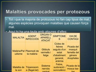• Tot i que la majoria de protozous no fan cap tipus de mal,
  algunes espècies provoquen malalties que causen força
  mal.
• Aquí hi ha una taula amb algunes d’elles:
                               ORGAN O
                  AGENT                   SÍMPTOME VIA DE
    MALALTIA                   APARELL
                INFECCIÓS                      S       CONTAGI
                                ATACAT
                                           Cicles de
                                             febres    Picada del
                                Glòbuls seguits d'un mosquit
    Malària/Pal Plasmodi de
                               vermells i     estat   femella del
     udisme      la malària
                                 fetge    d'abatiment    gènere
                                            general,   Anopheles
                                            anèmia
                                             Febre,
                                Sistema               Picada de la
    Malaltia de Tripanosom                sudoració i
                                nerviós               mosca tse-
      la son    a (flagel.lat)            somnolènci
 