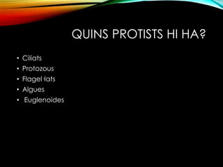 QUINS PROTISTS HI HA? 
• Ciliats 
• Protozous 
• Flagel·lats 
• Algues 
• Euglenoides 
 