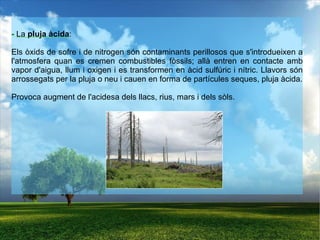 Líquids   ->   Provenen de la destil·lació del petroli (benzina, gasoil, fuel...). 