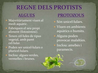  Majoritàriament viuen al
medi aquàtic.
 Fabriquen el seu propi
aliment (fotosíntesi).
 Tenen cèl·lules de tipus
vegetal, amb paret
cel·lular.
 Poden ser unicel·lulars o
pluricel·lulars.
 Inclou: algues verdes,
vermelles i brunes.
REGNE DELS PROTISTS
 Són unicel·lulars.
 Viuen en ambients
aquàtics o humits.
 Alguns poden
provocar malalties.
 Inclou: amebes i
paramecis.
ALGUES PROTOZOUS
 