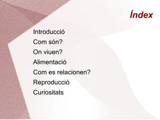 Índex  Introducció  