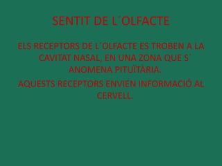 SENTIT DE L´OLFACTE 
ELS RECEPTORS DE L´OLFACTE ES TROBEN A LA 
CAVITAT NASAL, EN UNA ZONA QUE S´ 
ANOMENA PITUÏTÀRIA. 
AQUESTS RECEPTORS ENVIEN INFORMACIÓ AL 
CERVELL. 
 