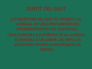 SENTIT DEL GUST 
ELS RECEPTORS DEL GUST ES TROBEN A LA 
LLENGUA, EN UNES PROTUBERÀNCIES 
ANOMENADESPAPIL·LES GUSTATIVES . 
CADA ZONA DE LA SUPERFÍCIE DE LA LLENGUA 
ÉS SENSIBLE A UN SABOR. LES PAPIL·LES 
GUSTATIVES ENVIEN LA INFORMACIÓ AL 
CERVELL. 
 