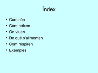 Índex Com són  Com neixen On viuen  De qué s'alimenten Com respiren Exemples 