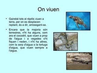 On viuen Gairebé tots el rèptils viuen a terra, per on es desplacen reptant, és a dir, arrosegant-se.  Encara que la majoria són terrestres, n'hi ha alguns, com ara el cocodril, que viuen a prop de l'aigua i a vegades s'hi fiquen i neden, i n'hi ha altres, com la serp d'aigua o la tortuga d'aigua, que viuen sempre a l'aigua. 