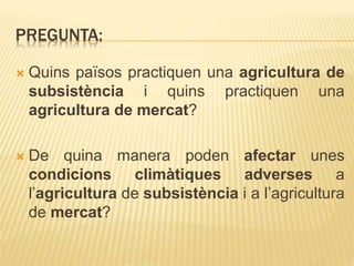 PREGUNTA:
 Quins països practiquen una agricultura de
subsistència i quins practiquen una
agricultura de mercat?
 De quina manera poden afectar unes
condicions climàtiques adverses a
l’agricultura de subsistència i a l’agricultura
de mercat?
 