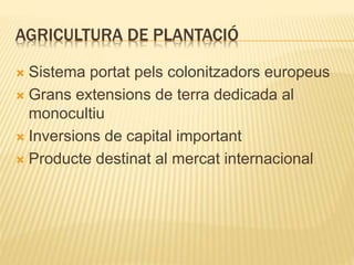 AGRICULTURA DE PLANTACIÓ
 Sistema portat pels colonitzadors europeus
 Grans extensions de terra dedicada al
monocultiu
 Inversions de capital important
 Producte destinat al mercat internacional
 