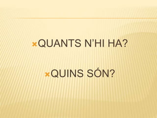 QUANTS N’HI HA?
QUINS SÓN?
 