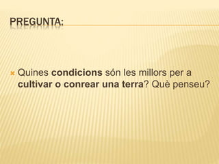 PREGUNTA:
 Quines condicions són les millors per a
cultivar o conrear una terra? Què penseu?
 