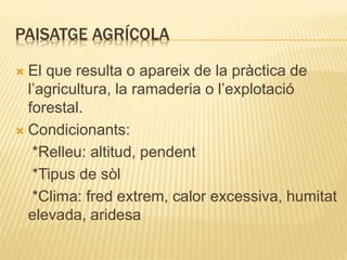PAISATGE AGRÍCOLA
 El que resulta o apareix de la pràctica de
l’agricultura, la ramaderia o l’explotació
forestal.
 Condicionants:
*Relleu: altitud, pendent
*Tipus de sòl
*Clima: fred extrem, calor excessiva, humitat
elevada, aridesa
 