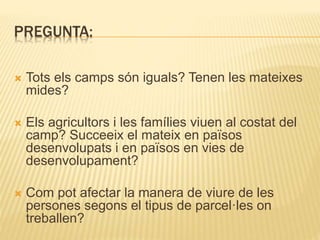 PREGUNTA:
 Tots els camps són iguals? Tenen les mateixes
mides?
 Els agricultors i les famílies viuen al costat del
camp? Succeeix el mateix en països
desenvolupats i en països en vies de
desenvolupament?
 Com pot afectar la manera de viure de les
persones segons el tipus de parcel·les on
treballen?
 