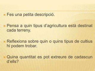  Fes una petita descripció.
 Pensa a quin tipus d’agricultura està destinat
cada terreny.
 Reflexiona sobre quin o quins tipus de cultius
hi podem trobar.
 Quina quantitat es pot extreure de cadascun
d’ells?
 