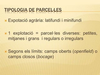 TIPOLOGIA DE PARCEL·LES
 Expotació agrària: latifundi i minifundi
 1 explotació = parcel·les diverses: petites,
mitjanes i grans i regulars o irregulars
 Segons els límits: camps oberts (openfield) o
camps closos (bocage)
 