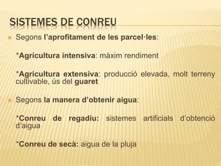SISTEMES DE CONREU
 Segons l’aprofitament de les parcel·les:
*Agricultura intensiva: màxim rendiment
*Agricultura extensiva: producció elevada, molt terreny
cultivable, ús del guaret
 Segons la manera d’obtenir aigua:
*Conreu de regadiu: sistemes artificials d’obtenció
d’aigua
*Conreu de secà: aigua de la pluja
 