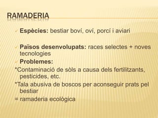 RAMADERIA
 Espècies: bestiar boví, oví, porcí i aviari
 Països desenvolupats: races selectes + noves
tecnologies
 Problemes:
*Contaminació de sòls a causa dels fertilitzants,
pesticides, etc.
*Tala abusiva de boscos per aconseguir prats pel
bestiar
= ramaderia ecològica
 