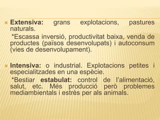  Extensiva: grans explotacions, pastures
naturals.
*Escassa inversió, productivitat baixa, venda de
productes (països desenvolupats) i autoconsum
(vies de desenvolupament).
 Intensiva: o industrial. Explotacions petites i
especialitzades en una espècie.
*Bestiar estabulat: control de l’alimentació,
salut, etc. Més producció però problemes
mediambientals i estrès per als animals.
 