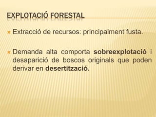 EXPLOTACIÓ FORESTAL
 Extracció de recursos: principalment fusta.
 Demanda alta comporta sobreexplotació i
desaparició de boscos originals que poden
derivar en desertització.
 