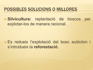 POSSIBLES SOLUCIONS O MILLORES
 Silvicultura: replantació de boscos per
explotar-los de manera racional.
 Es redueix l’explotació del bosc autòcton i
s’introdueix la reforestació.
 
