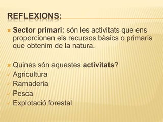 REFLEXIONS:
 Sector primari: són les activitats que ens
proporcionen els recursos bàsics o primaris
que obtenim de la natura.
 Quines són aquestes activitats?
 Agricultura
 Ramaderia
 Pesca
 Explotació forestal
 