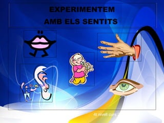 EXPERIMENTEM AMB ELS SENTITS   4t nivell curs 2010-2011 