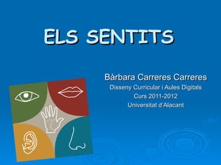 ELS SENTITS

     Bàrbara Carreres Carreres
      Disseny Curricular i Aules Digitals
              Curs 2011-2012
            Universitat d’Alacant
 