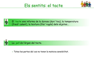 Els sentits: el tacte


El tacte ens informa de la duresa (dur/ tou), la temperatura
(fred/ calent), la textura (llis/ rugós) dels objetes...




La pell és l’òrgan del tacte.


- Totes les partes del cos no tenen la mateixa sensibilitat.
 