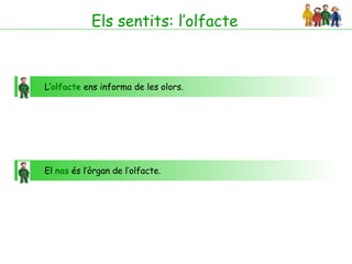Els sentits: l’olfacte



L’olfacte ens informa de les olors.




El nas és l’òrgan de l’olfacte.
 