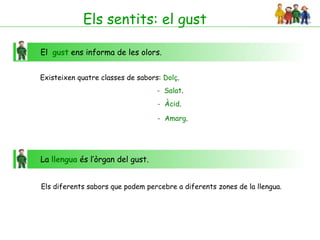 Els sentits: el gust

El gust ens informa de les olors.


Existeixen quatre classes de sabors: Dolç.
                                  -
                                   - Salat.
                                   - Àcid.

                                   - Amarg.




La llengua és l’òrgan del gust.


Els diferents sabors que podem percebre a diferents zones de la llengua.
 