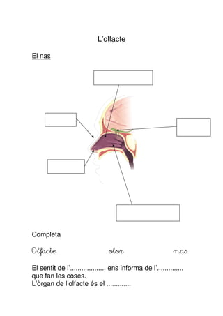 L’olfacte

El nas




Completa

Olfacte                          olor                        nas

El sentit de l’................... ens informa de l’..............
que fan les coses.
L’òrgan de l’olfacte és el .............
 