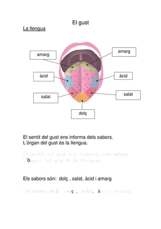 El gust
La llengua



                                              amarg
      amarg



       àcid                                   àcid



                                                salat
        salat


                          dolç




El sentit del gust ens informa dels sabors.
L’òrgan del gust és la llengua.

El sentit del gust ens informa dels sabors.
L’òrgan del gust és la llengua.


Els sabors són: dolç , salat, àcid i amarg.

Els sabors són:    dolç , salat, àcid i amarg.
 